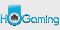 HoGaming - Огляд гемблінг-провайдера